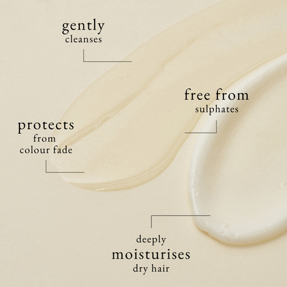 Re:Nourish Shampoo - FFØR